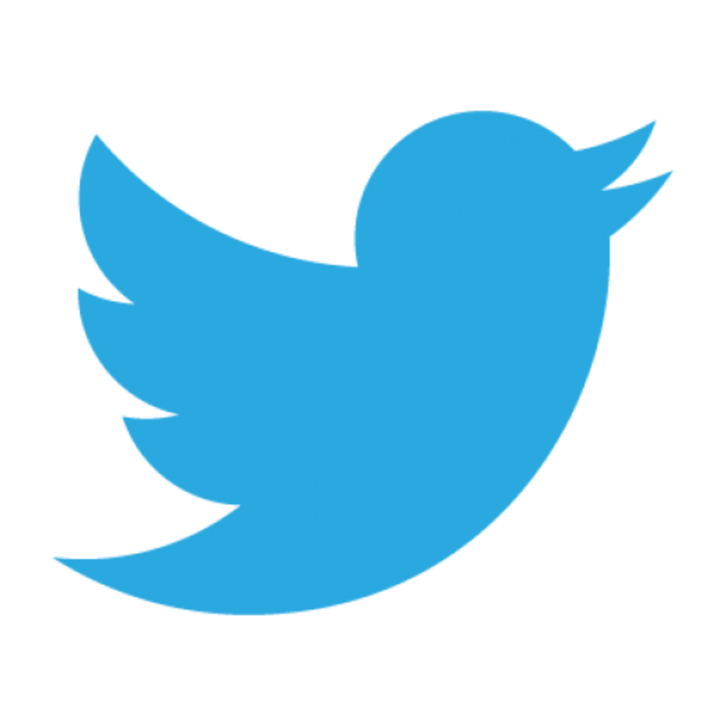 The Twitter logo feautring a light blue, undetailed graphic of a bird.